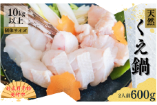 【年末発送予約受付中！】幻の高級魚 くえ 天然クエ鍋セット 2人前600g 【個体10kg以上】【2024年10月上旬～2025年2月下旬に順次発送】 / クエ クエ鍋 天然 魚 魚貝 海鮮　【tcr012A-sg】