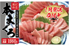 本マグロ トロ＆赤身セット1350g（養殖）【8月発送】【配達指定日不可】濃厚な赤身と高級部位トロの鮪好きにはたまらないセット 【串本町×北山村】 高級 クロマグロ【nks111-8】