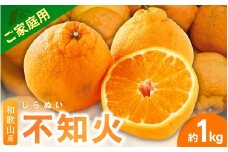 ＜3月下旬より発送＞【先行予約】家庭用不知火1kg+250g（傷み補償分）【デコポンと同品種・人気の春みかん】【わけあり・訳あり】/ フルーツ 果物 くだもの 柑橘 和歌山【ikd161C】