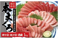 【10月発送】本マグロ トロ＆赤身セット 1kg（養殖） 濃厚な赤身と高級部位トロの鮪好きにはたまらないセット 【串本町×北山村】【配達日指定不可】 高級 クロマグロ まぐろ マグロ 鮪 中トロ 赤身 柵 マグロ中トロ 刺身【nks105B-10】