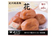 紀州南高梅「花」塩分約６％（500ｇ）/南高梅 紀州南高梅 梅 梅干し うめ 紀州 おかず 【ymdm010】