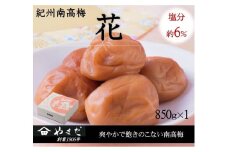 紀州南高梅「花」塩分約６％（850ｇ）/南高梅 紀州南高梅 梅 梅干し うめ 紀州 おかず【ymdm011】