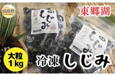 A24-044 東郷湖冷凍しじみ（大粒） 1kg 鳥取県 おすすめ 湯梨浜町 黒いダイヤ