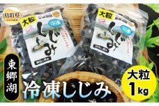 A24-044 東郷湖冷凍しじみ（大粒） 1kg 鳥取県 おすすめ 湯梨浜町 黒いダイヤ