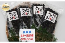 B24-070 鳥取市湖山池の大しじみ（冷凍・砂抜き）2kg 鳥取県 おすすめ ヤマトシジミ 500g×4