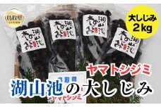B24-070 鳥取市湖山池の大しじみ（冷凍・砂抜き）2kg 鳥取県 おすすめ ヤマトシジミ 500g×4