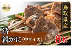 D24-021 鳥取県産　活親がに【期間限定】 鳥取県 おすすめ ズワイガニ