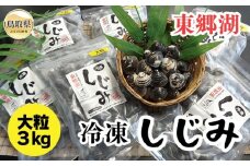 C24-012 東郷湖冷凍しじみ（大粒） 3kg 鳥取県 おすすめ 湯梨浜町 黒いダイヤ