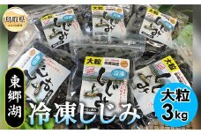 C24-012 東郷湖冷凍しじみ（大粒） 3kg 鳥取県 おすすめ 湯梨浜町 黒いダイヤ