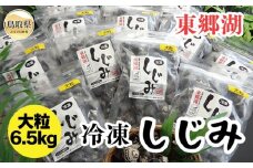 E24-008 東郷湖冷凍しじみ（大粒） 6.5kg 鳥取県 おすすめ 湯梨浜町 黒いダイヤ