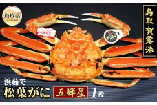 F24-005 鳥取賀露港　浜茹で松葉がに　五輝星【期間限定】 鳥取県 おすすめ ボイル 松葉かに ズワイガニ