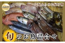 B24-136 鳥取からのお届け物「旬」のお魚詰合せ 【数量限定】