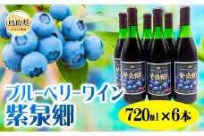 E24-005 ブルーベリーワイン紫泉郷720ml 6本ｾｯﾄ【数量限定】