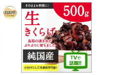 A24-164 純国産生きくらげ500g|栄養たっぷりプリプリ食感