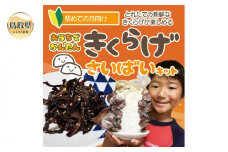 A24-165 おうちでかんたん!純国産きくらげ栽培キット【期間限定】