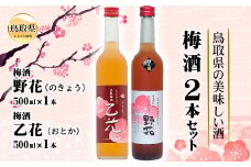 A24-050 鳥取県の美味しい酒　梅酒　2本セットＢ