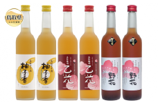 C24-016 鳥取県の美味しい酒　梅酒・ゆず酒　6本セット