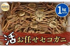D24-111 【魚倉】活お任せセコガ二 1kgセット【期間限定】 鳥取県 おすすめ ズワイガニ