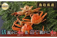 D24-022 鳥取県産　活親がに＆茹で親がに【期間限定】 鳥取県 おすすめ ボイル ズワイガニ