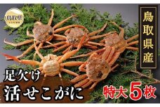 D24-044 鳥取県産　足欠け活せこがに（特大５枚）【期間限定】 鳥取県 おすすめ ズワイガニ
