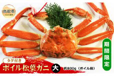 E24-074 【魚倉】タグ付きボイル松葉ガニ 大 約800g（ボイル前）【期間限定】 鳥取県 おすすめ 松葉かに ズワイガニ