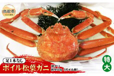 E24-073 【魚倉】足1本なしボイル松葉ガニ訳あり 特大 約950g（ボイル前）【期間限定】 鳥取県 おすすめ 松葉かに ズワイガニ