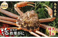 E24-016 鳥取県産　活足欠け松葉がに【期間限定】 鳥取県 おすすめ 松葉かに ズワイガニ