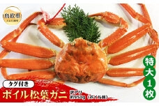 E24-045 【魚倉】タグ付きボイル松葉ガニ 特大 約950g（ボイル前）【期間限定】 鳥取県 おすすめ 松葉かに ズワイガニ