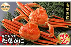 F24-008 鳥取県産　茹で足欠け松葉がに2枚【期間限定】 鳥取県 おすすめ ボイル 松葉かに ズワイガニ