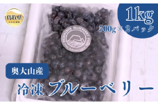 B24-208 奥大山産冷凍ブルーベリー500g×2パック
