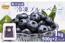 B24-208 奥大山産冷凍ブルーベリー500g×2パック
