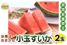 B24-214 【品種はおまかせ】小玉すいか　2玉【期間･数量限定】