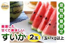 C24-074 すいか２玉　（1玉7kg以上）【期間･数量限定】