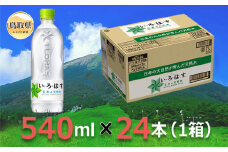 A24-233 大山天然水540ml 1箱