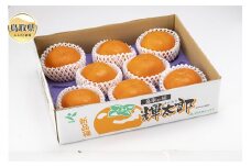 B24-331 鳥取県産輝太郎（きたろう）柿　3kg【期間･数量限定】