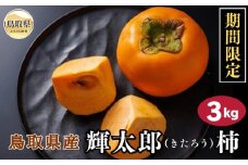 B24-331 鳥取県産輝太郎（きたろう）柿　3kg【期間･数量限定】