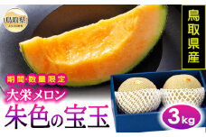 B24-330 鳥取県産朱色の宝玉（大栄メロン）3kg【期間･数量限定】