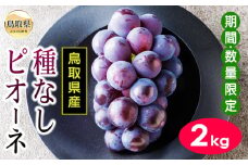 B24-332 鳥取県産種なしピオーネぶどう　2kg【期間･数量限定】