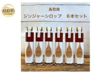 D24-103 鳥取県日南町のジンジャーシロップ6本セット