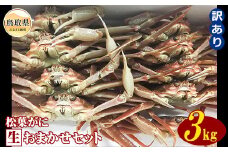 E24-076 【魚倉】松葉がに 生 おまかせセット 3kg 訳あり【期間限定】 鳥取県 おすすめ 松葉かに ズワイガニ