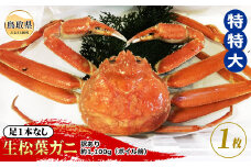 F24-073 【魚倉】足1本なし生松葉ガニ訳あり 特特大 約1,100g【期間限定】 鳥取県 おすすめ 松葉かに ズワイガニ