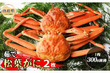 D24-117 茹で松葉ガニ 2枚（1枚300g前後）【期間限定】 鳥取県 おすすめ ボイル 松葉かに ズワイガニ