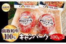 B24-365 鳥取和牛100％キャンバーグ 鳥取県 おすすめ 大山 だいせん 和牛 ハンバーグ 国産牛 300g×2個