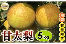 B24-366 甘太梨　5㎏【期間･数量限定】
