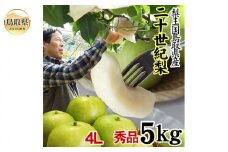 C24-131 中野農園【二十世紀梨】5キロ【ご進物用　4Lサイズ】(秀品)[常温]鳥取県産【期間限定】