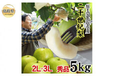 C24-130 中野農園【二十世紀梨】5キロ【ご進物用　2L-3Lサイズ】(秀品)[常温]鳥取県産【期間限定】
