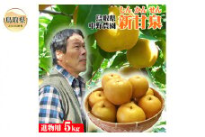 C24-132 【中野農園】新甘泉【進物用】5kgセット(8-15玉程度)[常温]【鳥取県産】【期間限定】