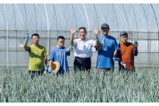 き24-047 【特定非営利活動法人 大地】障がい者が作る白ねぎを、全国へ！（思いやり型返礼品）