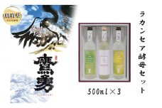 B24-449 ラカンセア酵母仕込セット
