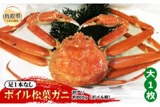 E24-097 【魚倉】足1本なしボイル松葉ガニ訳あり 大 約800g（ボイル前）【期間限定】 鳥取県 おすすめ 松葉かに ズワイガニ